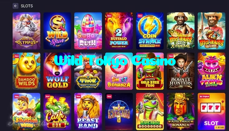 making first deposit on Wild Tokyo Casino website using local payment methods in Pakistan